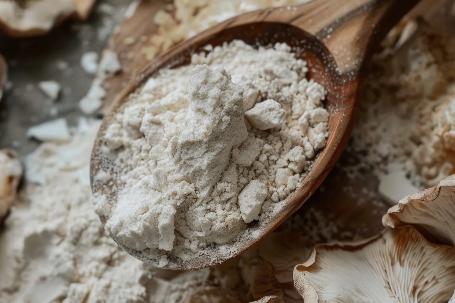 Liquid vs. Powder Mushrooms: Which Gives You More Benefits?