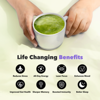 Mushroom Matcha with benefits for energy, focus and immunity shown in white cup with health benefit icons below