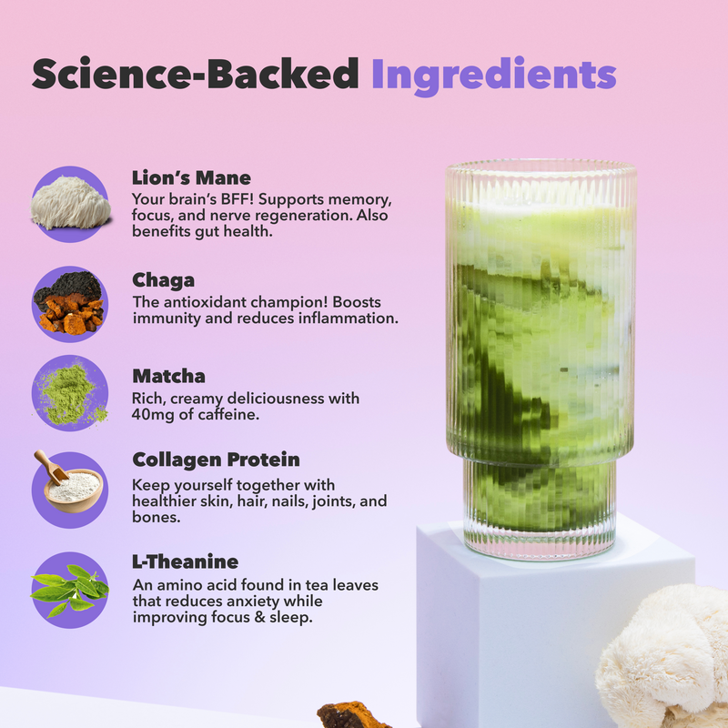 10-Pack of Mushroom Matcha+ with Lion’s Mane, Chaga, collagen, L-Theanine, and creamy matcha for energy and focus.
